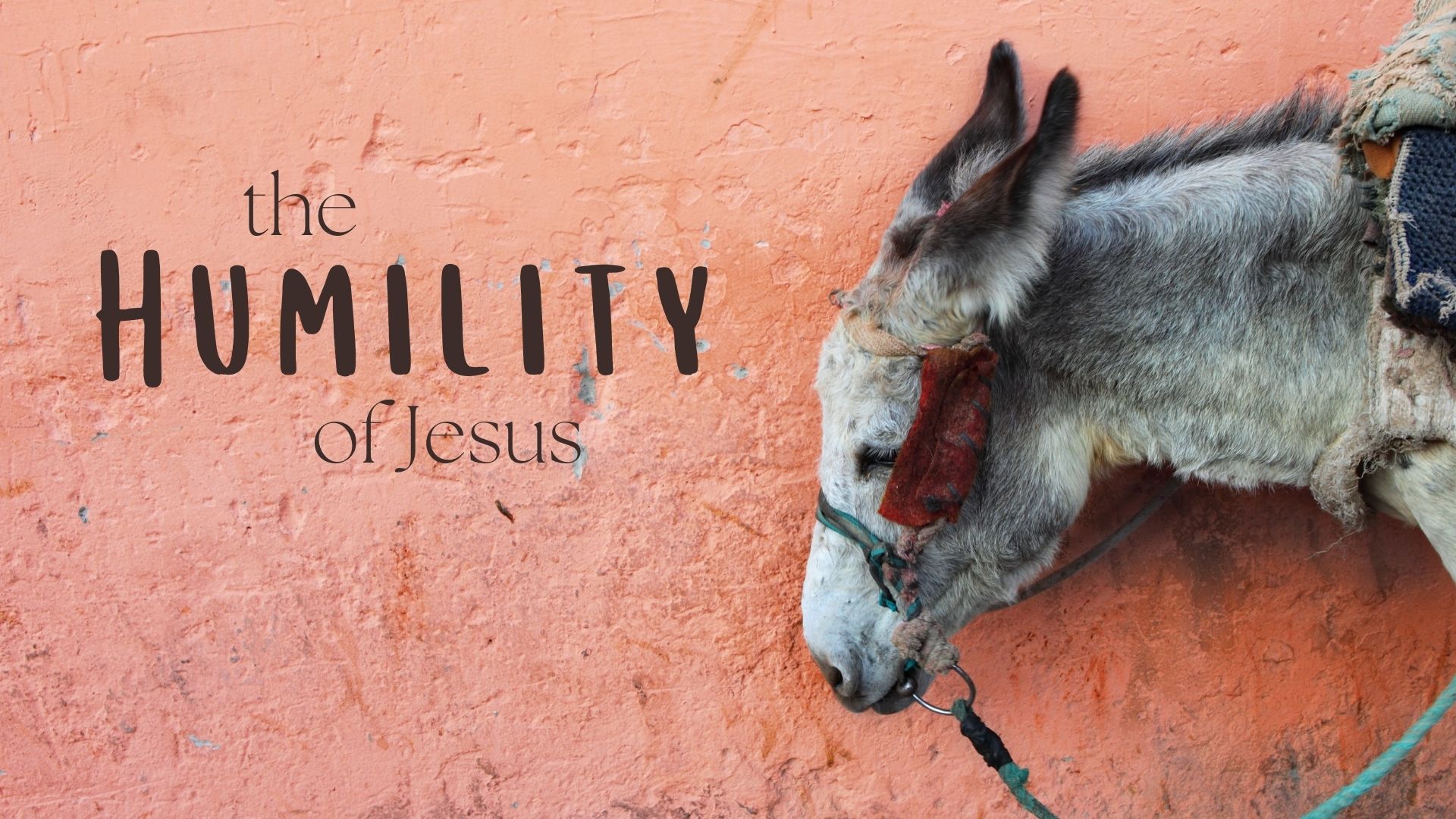 The Humility of Jesus