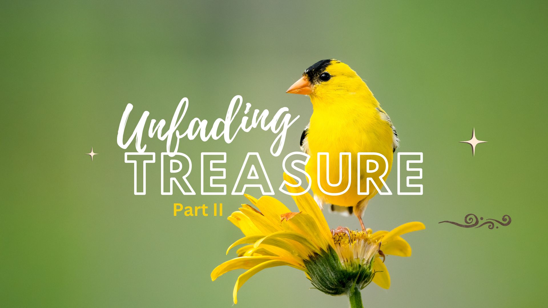 Unfading Treasure 2